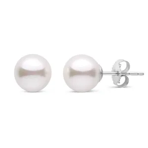7.5-8.0 mm White Akoya AA  Pearl Stud Earrings