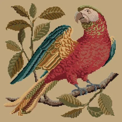 Alister the Parrot