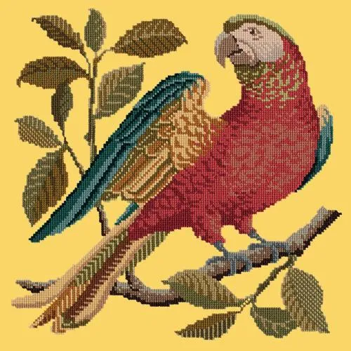 Alister the Parrot