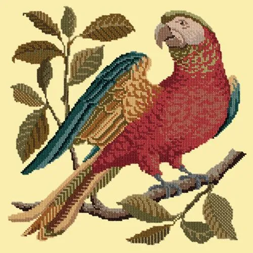 Alister the Parrot