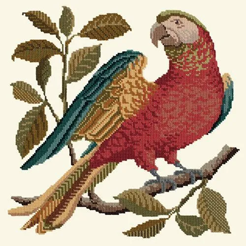 Alister the Parrot