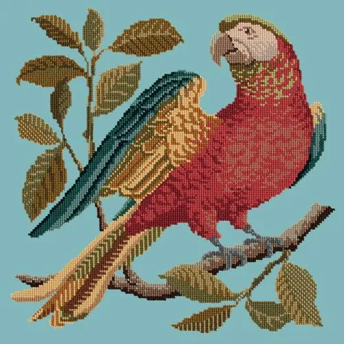 Alister the Parrot