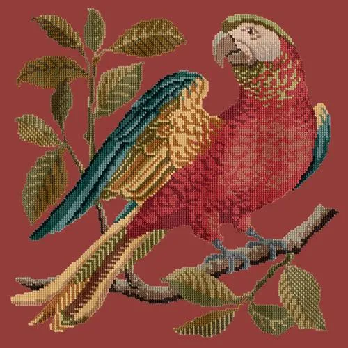 Alister the Parrot
