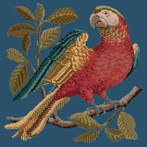 Alister the Parrot