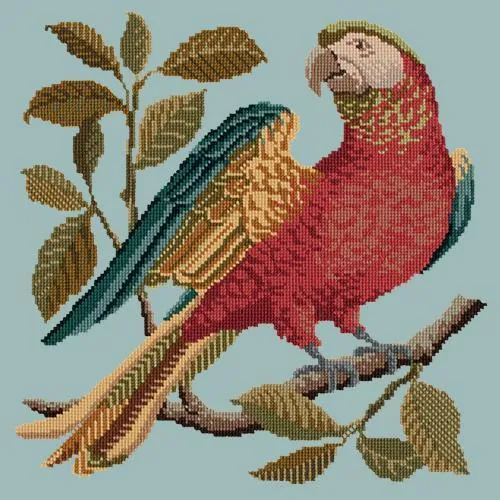 Alister the Parrot