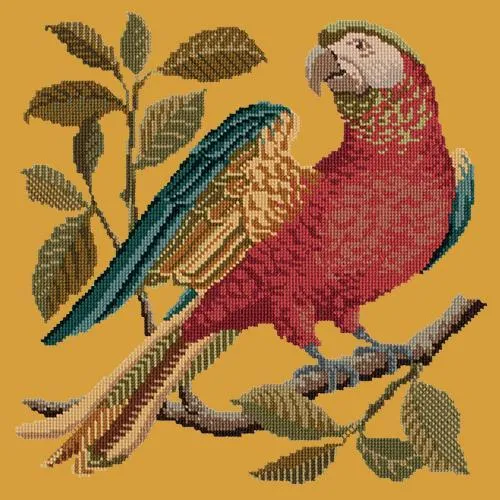 Alister the Parrot