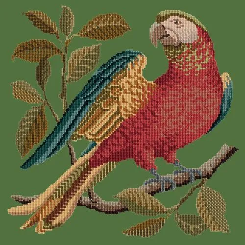 Alister the Parrot
