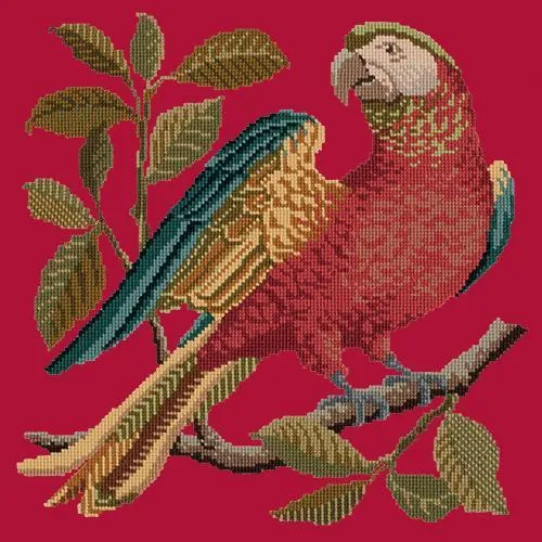 Alister the Parrot