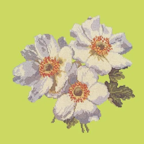 Anemones