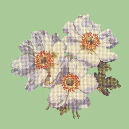 Anemones