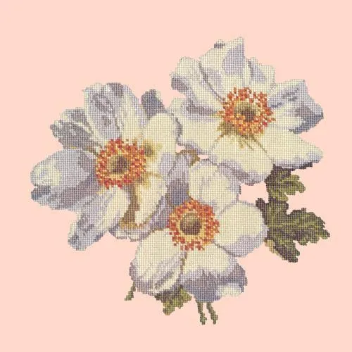 Anemones