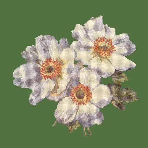 Anemones