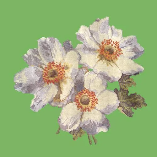 Anemones
