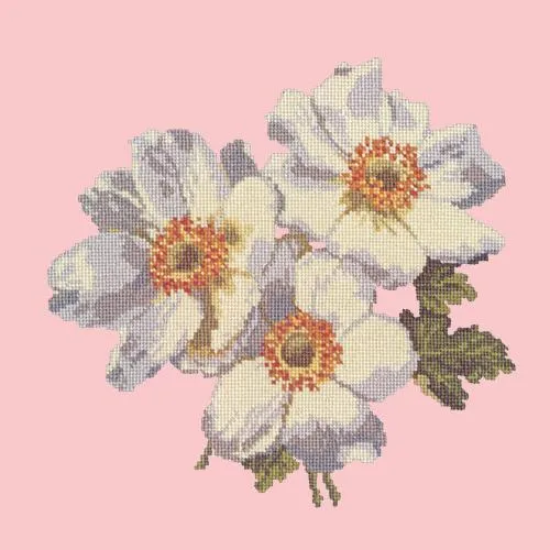 Anemones