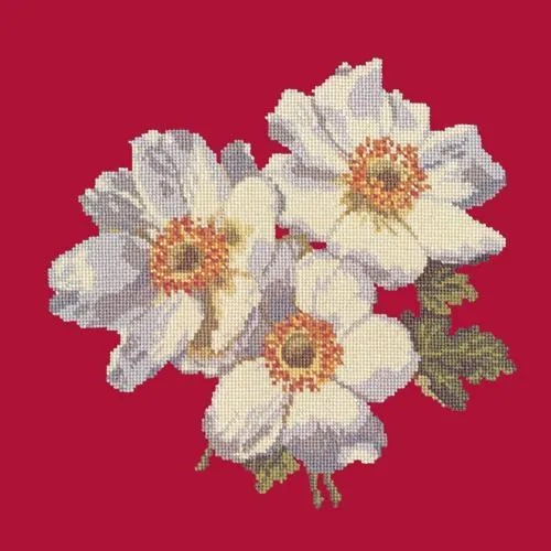 Anemones