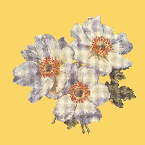 Anemones