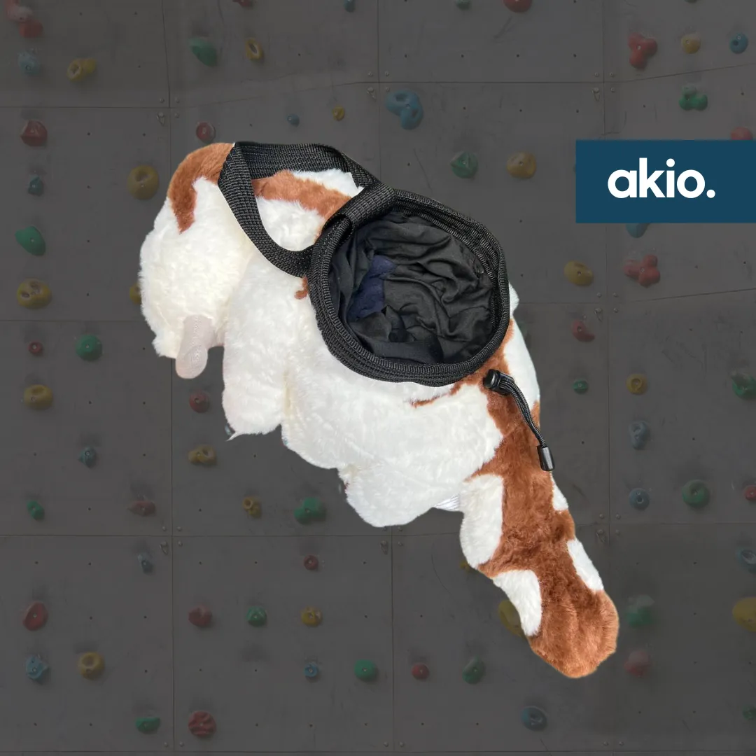Avatar Appa Bison Chalk Bucket