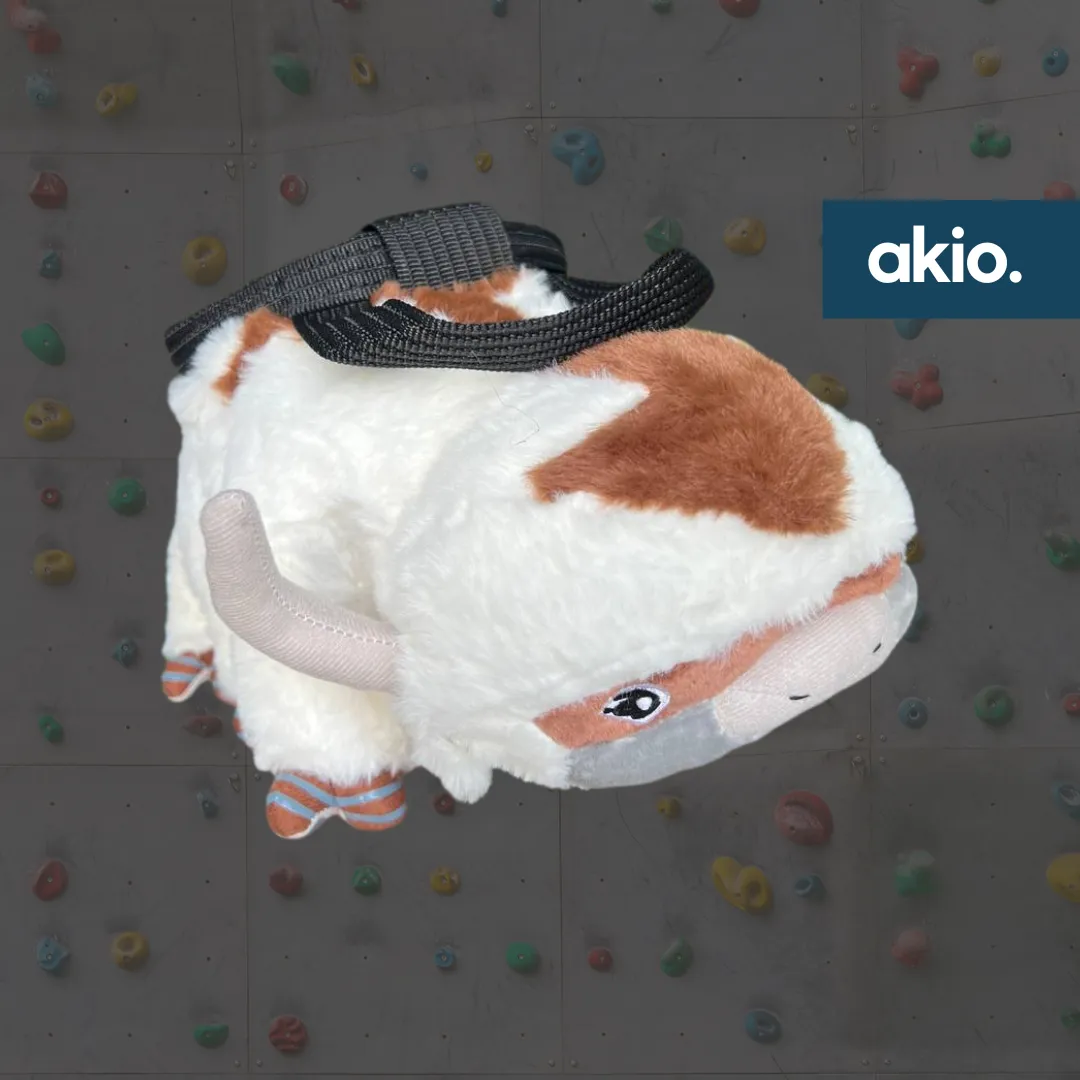 Avatar Appa Bison Chalk Bucket
