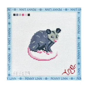 Baby Possum