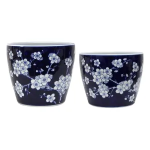 Blossom Planter Blue   White