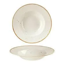 CHURCHILL SUPER VITRIFIED WIDE RIM BOWL 24CM