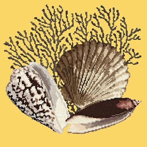 Fan Coral