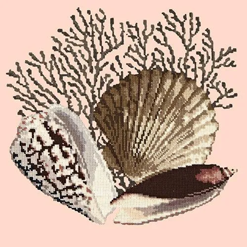 Fan Coral