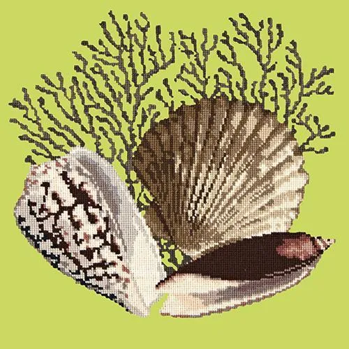 Fan Coral