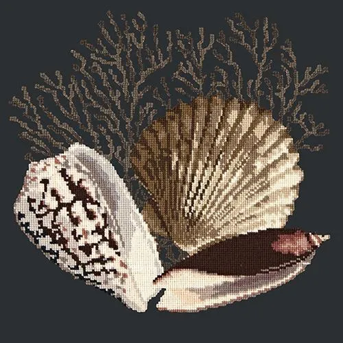 Fan Coral