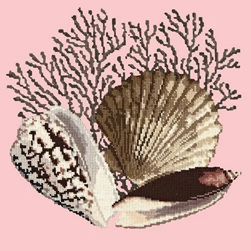 Fan Coral