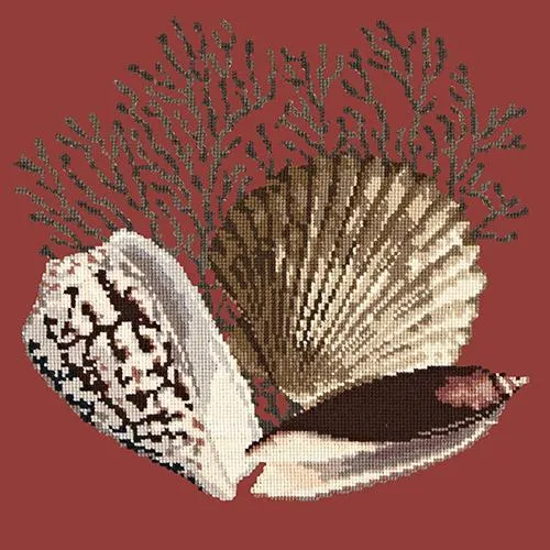Fan Coral