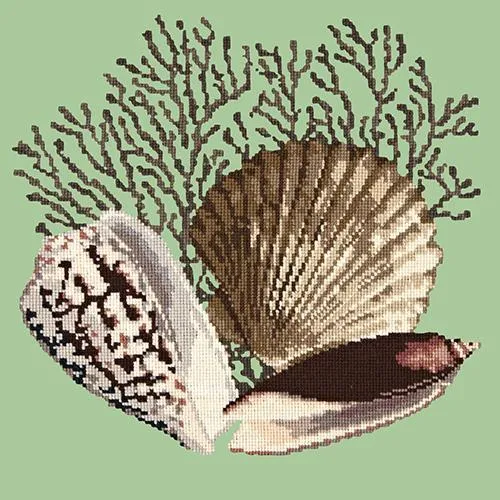 Fan Coral