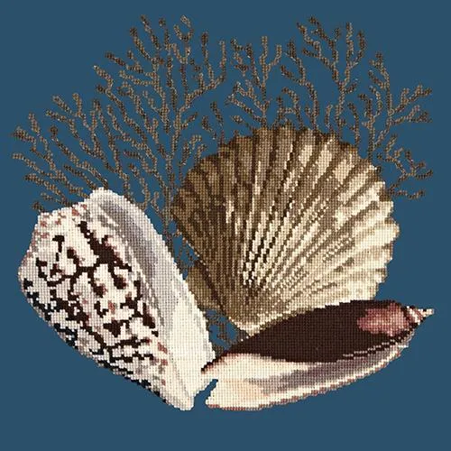 Fan Coral