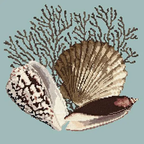 Fan Coral