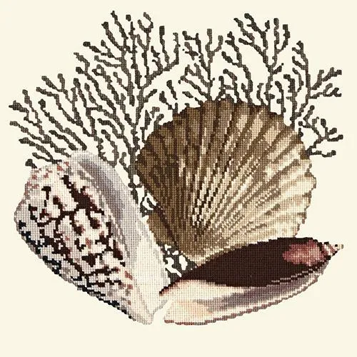 Fan Coral