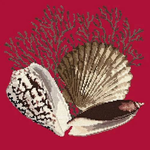 Fan Coral