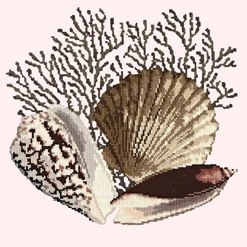 Fan Coral