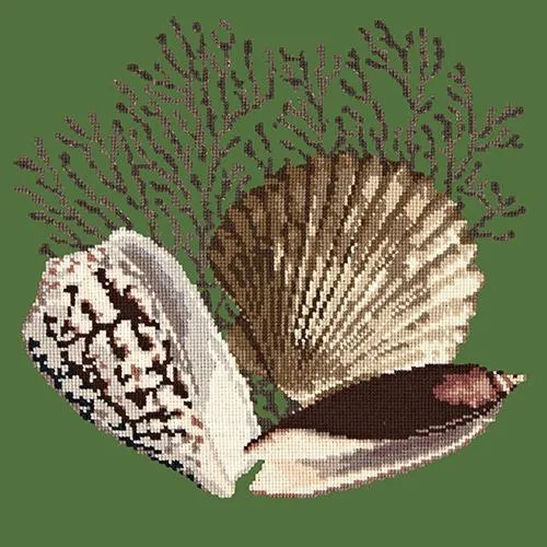 Fan Coral