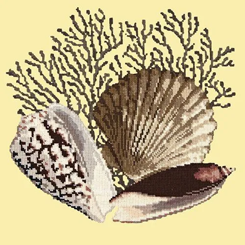 Fan Coral