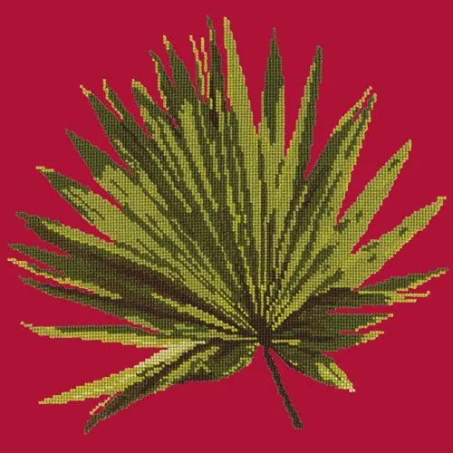 Fan Palm Leaf