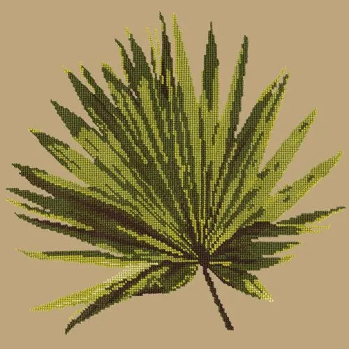 Fan Palm Leaf