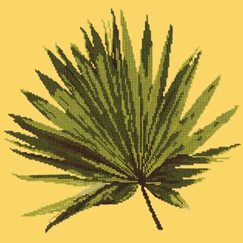 Fan Palm Leaf