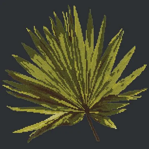 Fan Palm Leaf
