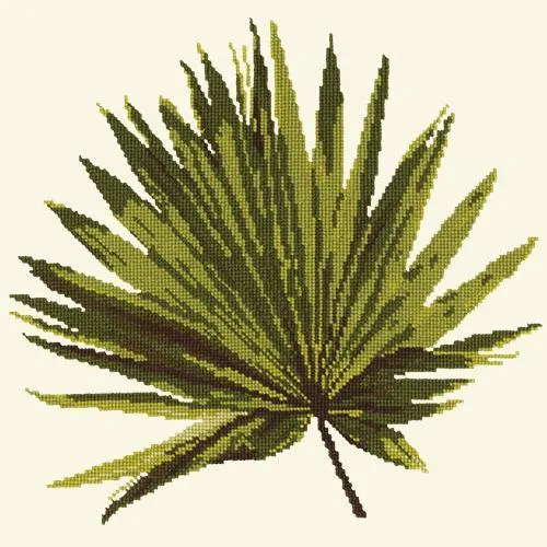 Fan Palm Leaf