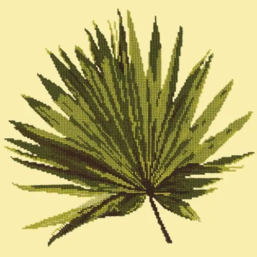 Fan Palm Leaf