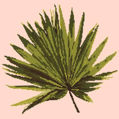 Fan Palm Leaf