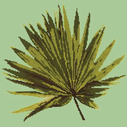 Fan Palm Leaf