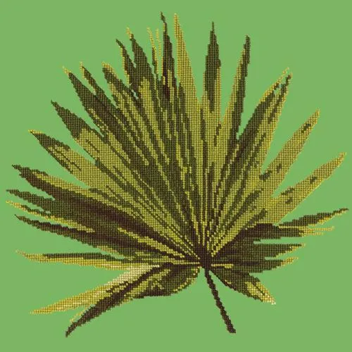 Fan Palm Leaf
