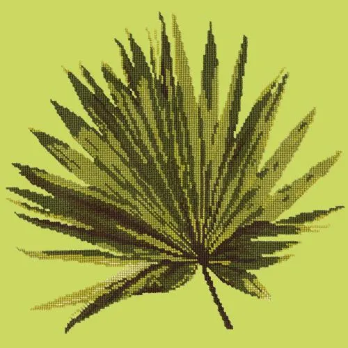 Fan Palm Leaf
