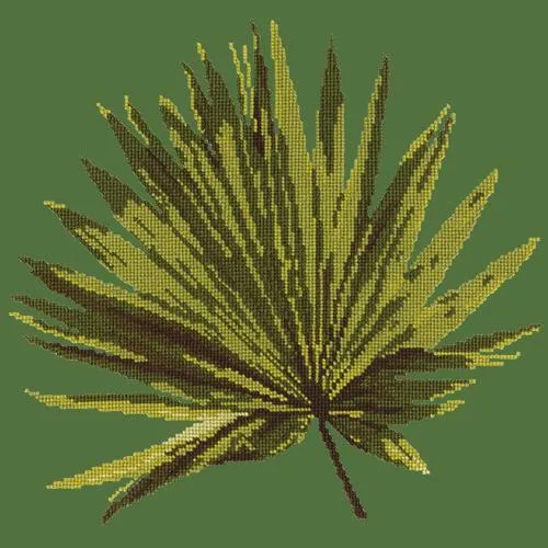 Fan Palm Leaf